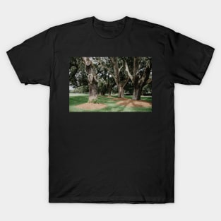 Avenue of the Oaks T-Shirt